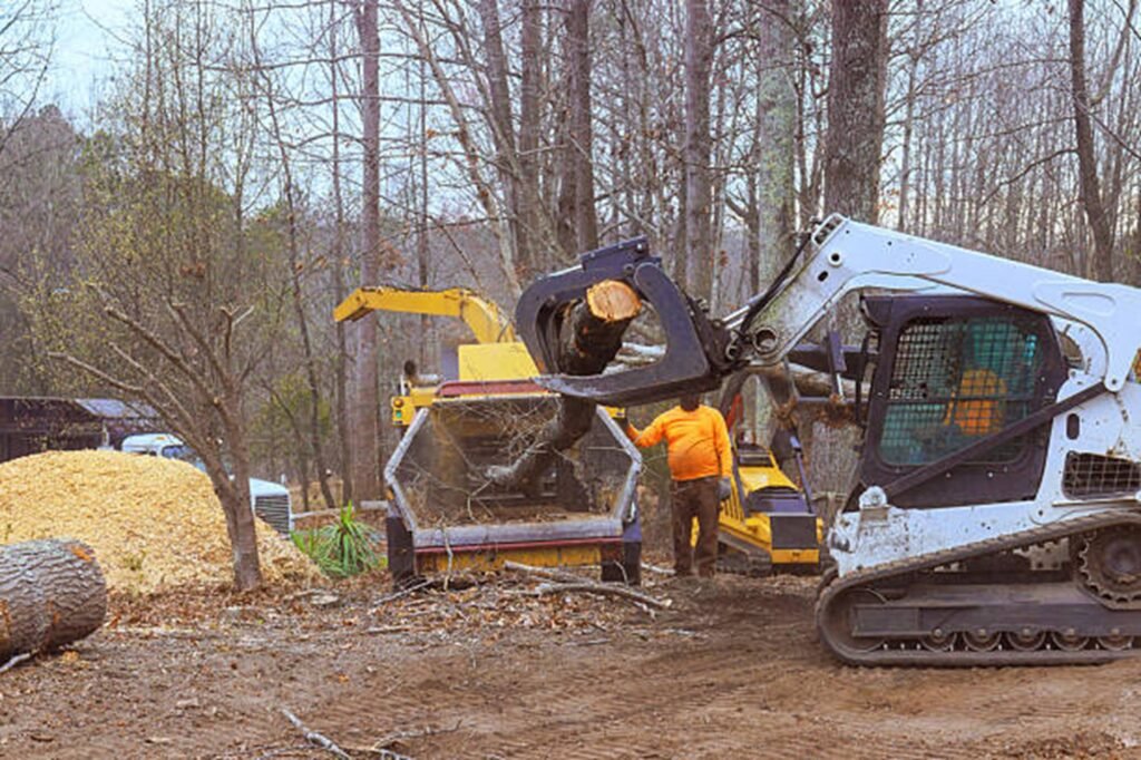 Hazardous tree safely removed from residential property in Stow, Ohio