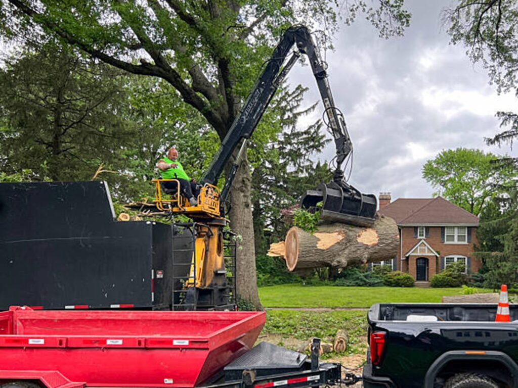 Tree removal crew using controlled sectional cutting techniques near a residential home in Stow, Ohio