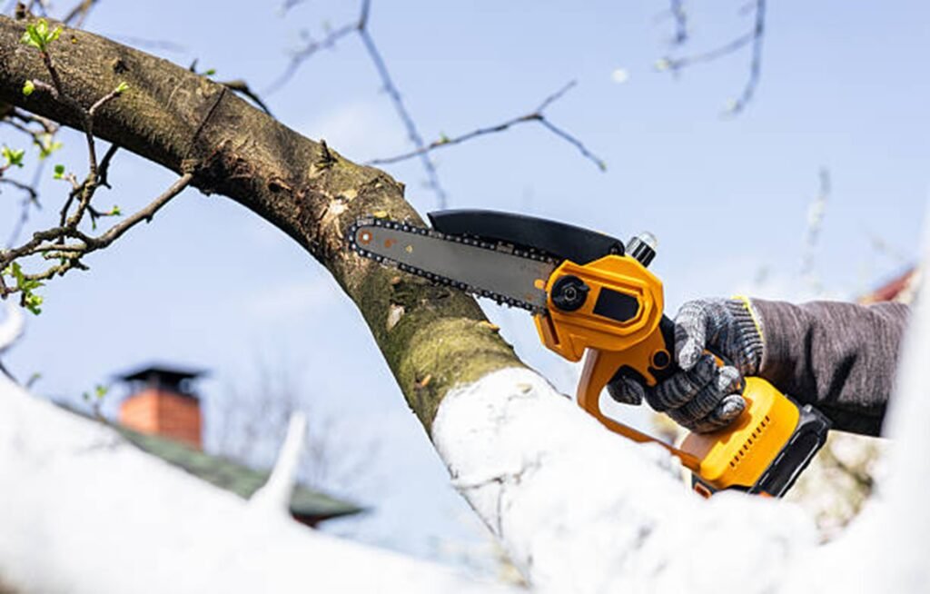 Tree trimming and pruning service improving structure and safety at a Stow, Ohio property