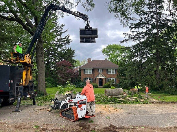 Professional tree trimming service in Stow with crew pruning branches near a residential home