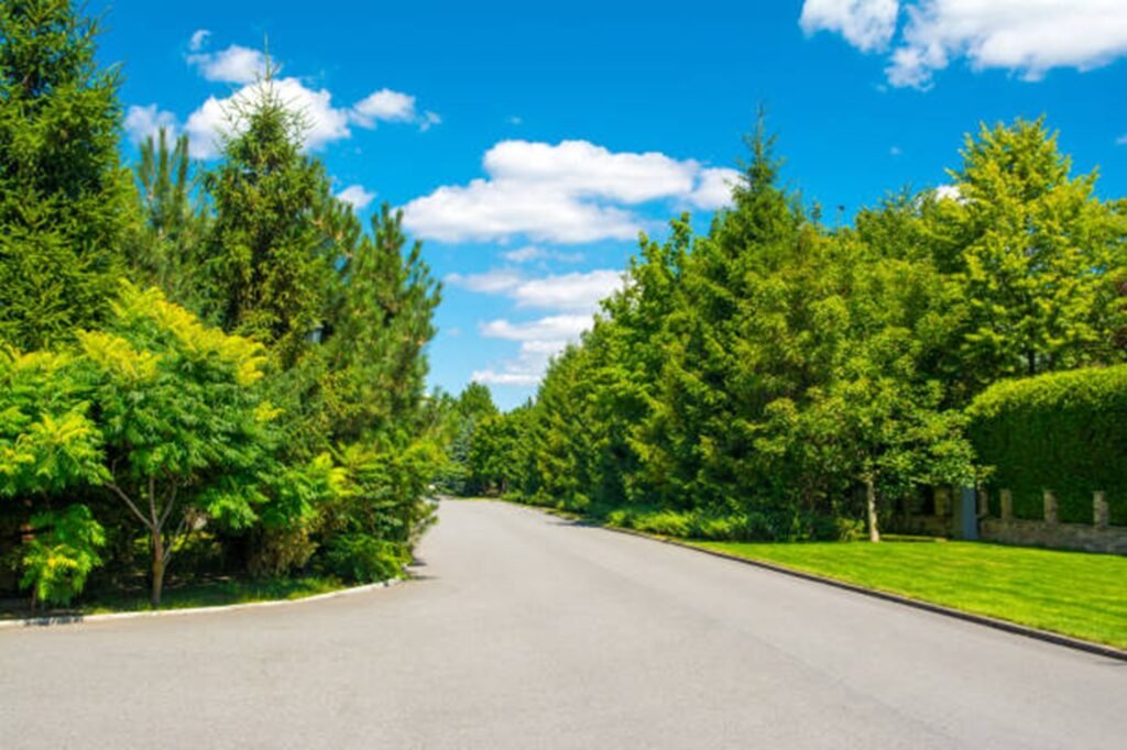 Tree service crew working on residential property in Arboredge Tree Experts, Ohio
