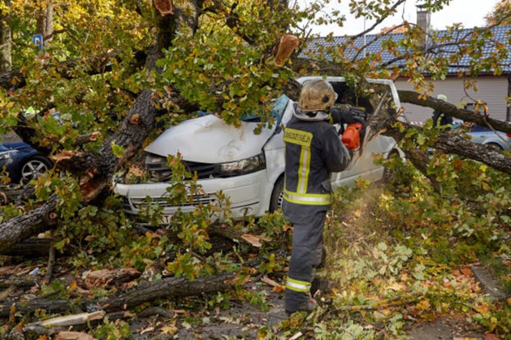 Storm damage cleanup with fallen tree and debris removal at a Stow, OH property