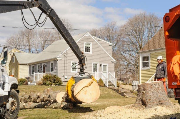 Emergency tree removal crew cutting a storm-damaged tree near a residential home in Stow, Ohio