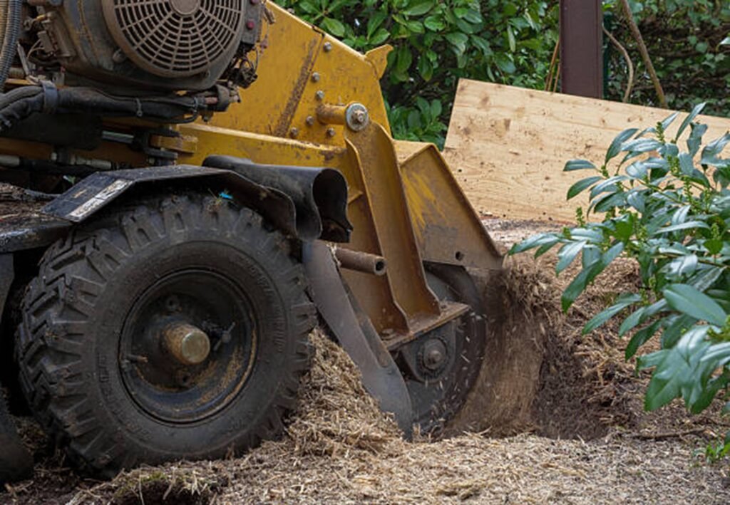 Stump grinding equipment removing a large tree stump from a residential yard in Stow, Ohio