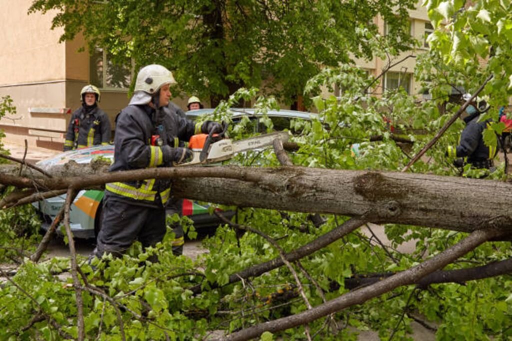 Emergency tree service crew removing a storm-damaged tree from a Stow, OH driveway