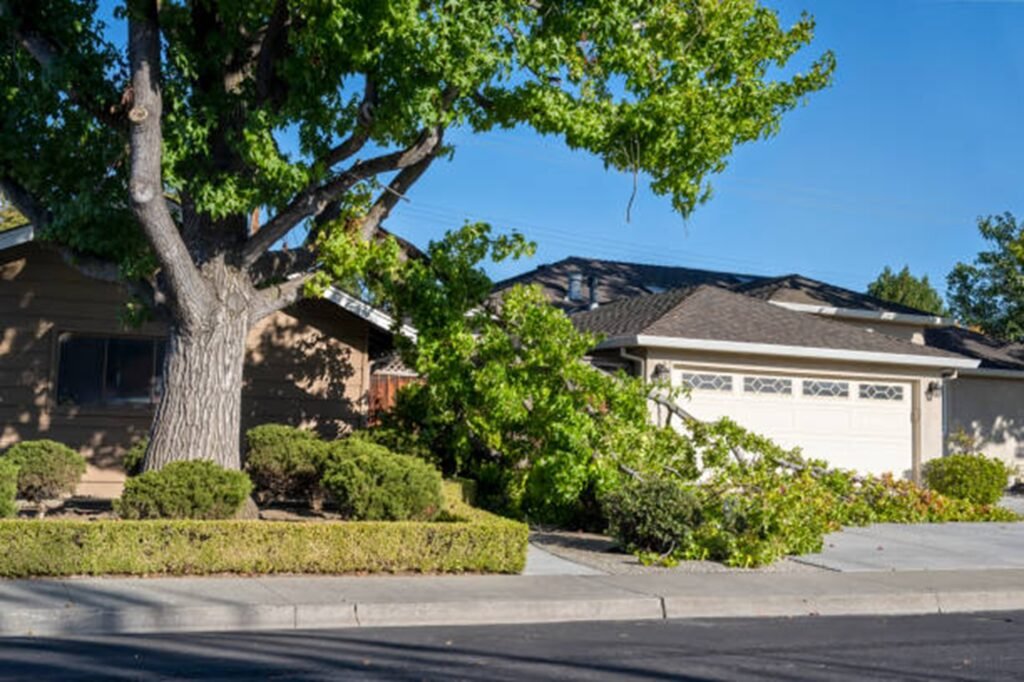 Tree service crew removing storm-damaged tree debris from a residential yard in Stow, Ohio