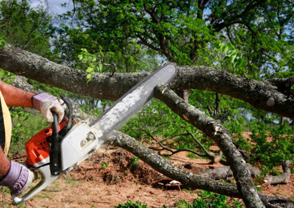 Property restored after professional tree removal service in Stow, Ohio